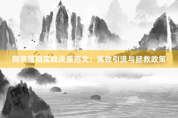 网罗营销实践决策范文：高效引流与拯救政策