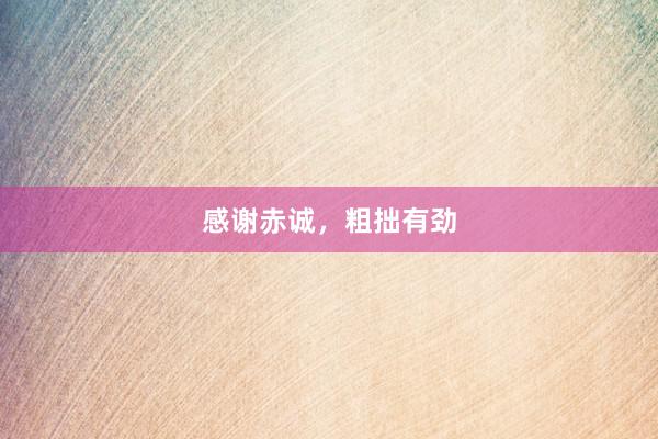 感谢赤诚，粗拙有劲